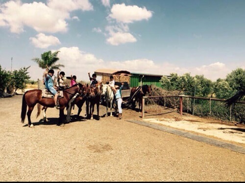 החווה הצ'רקסית